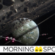 Illustration for article titled More Rumors About the Planets Well See in the iHan Solo /iMovie